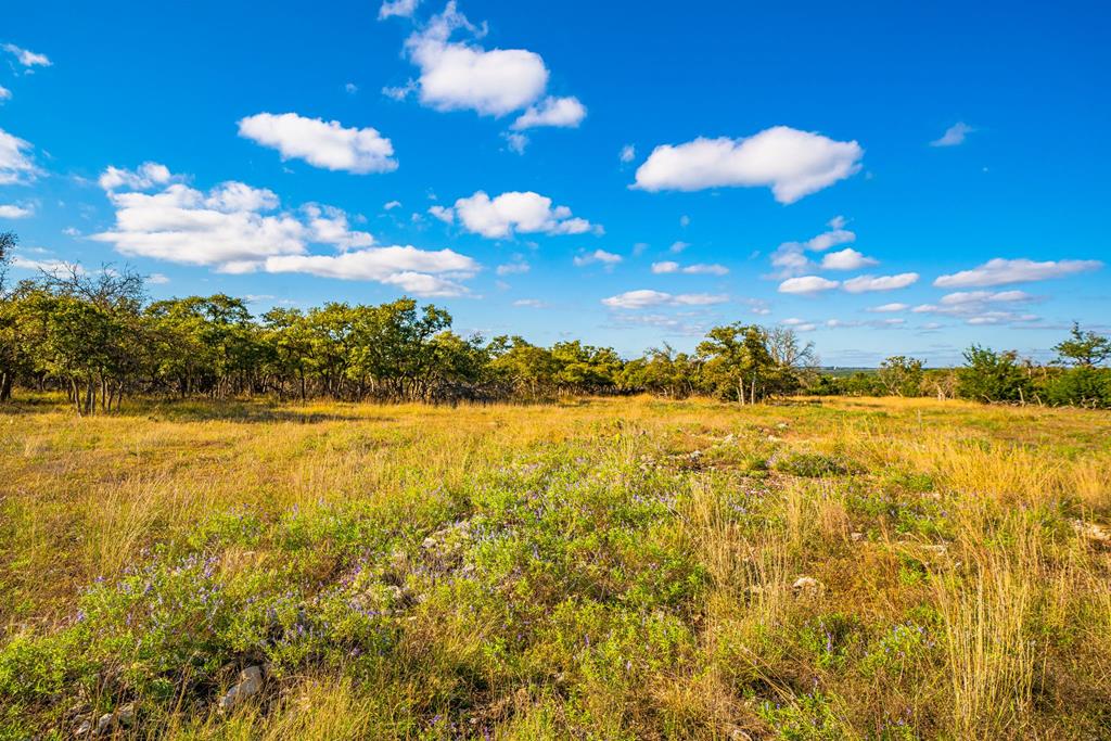 Lot 37 Reservation Road, Unit 37 Harper, TX 78631 - Photo 1 of 6 Main View