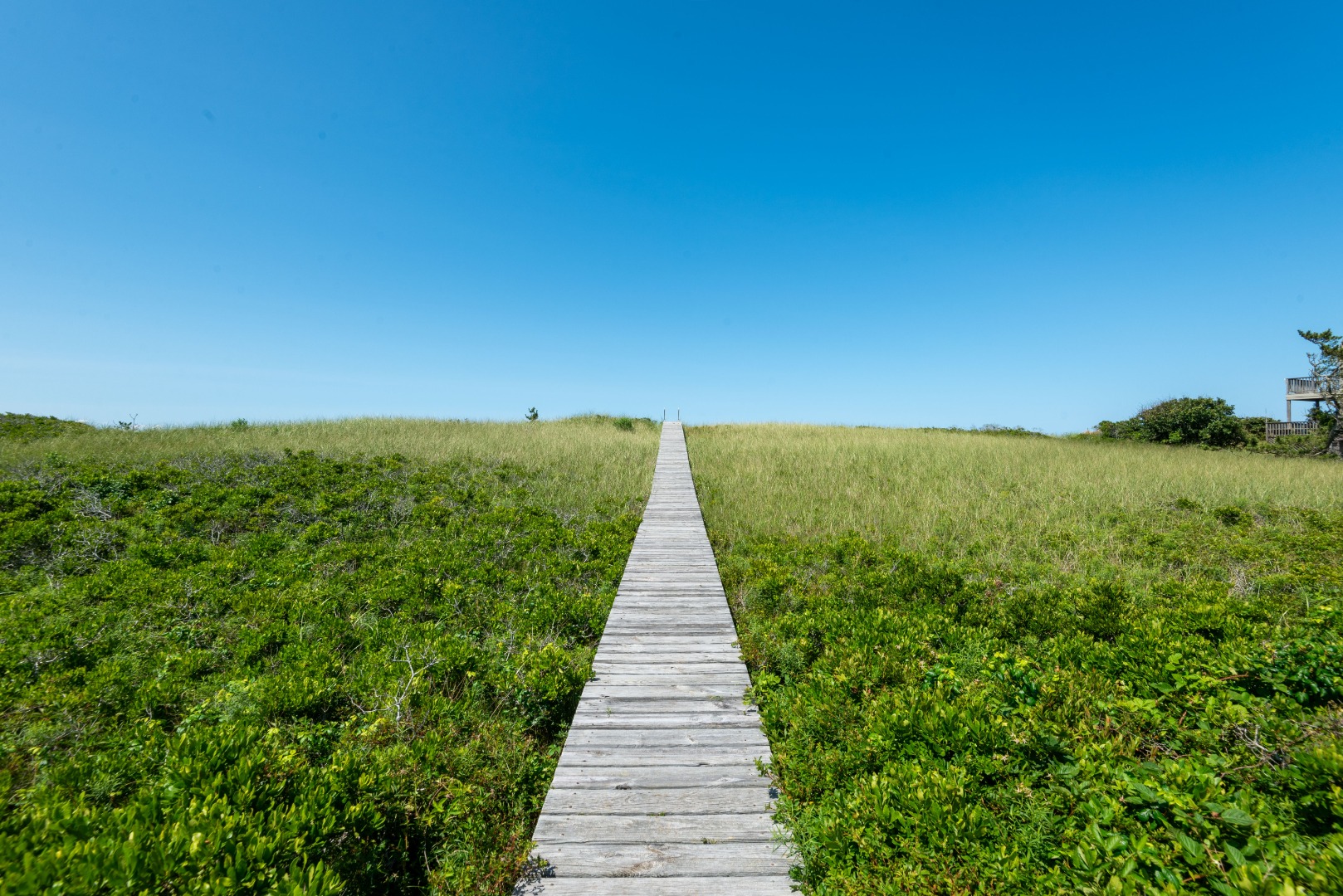 113 Eel Point Road Nantucket, MA 02554 - Photo 35 of 47