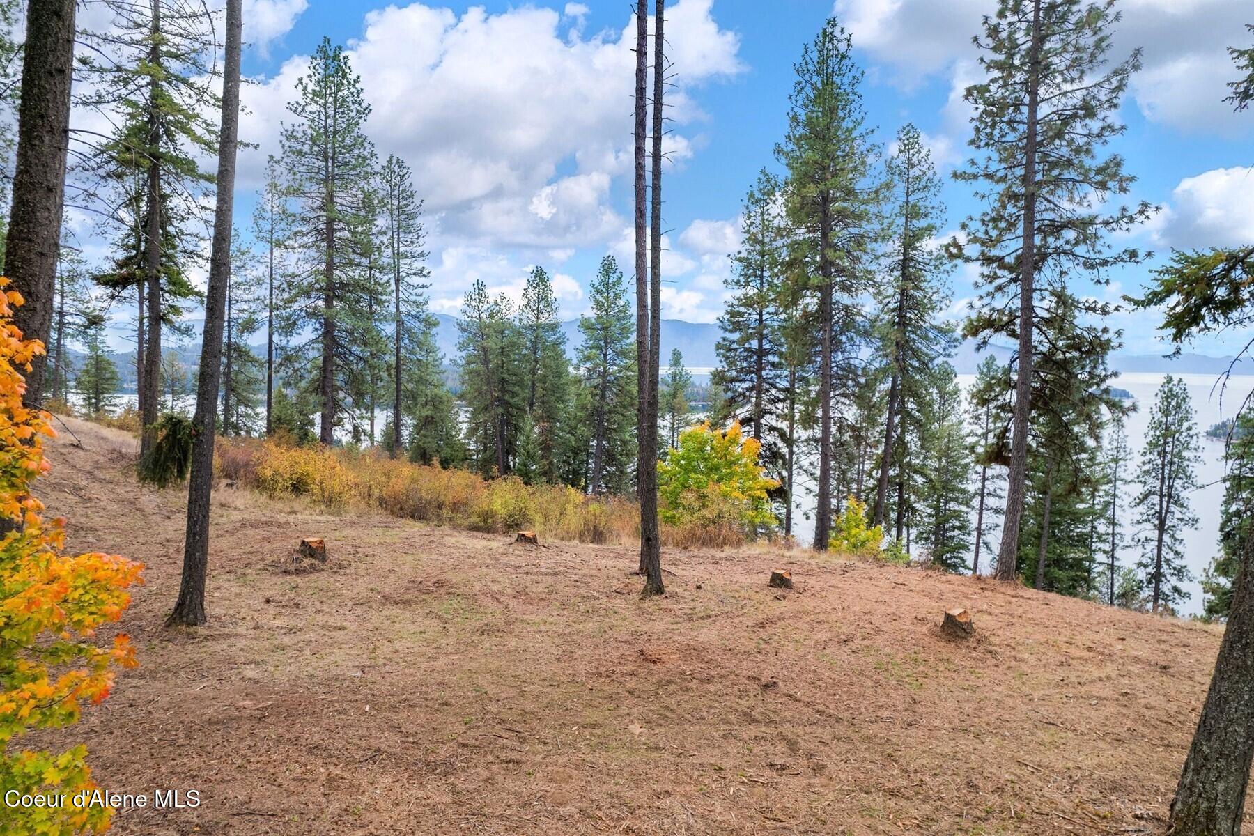 Nna Nna Green Hope, ID 83836 - Photo 1 of 26 01