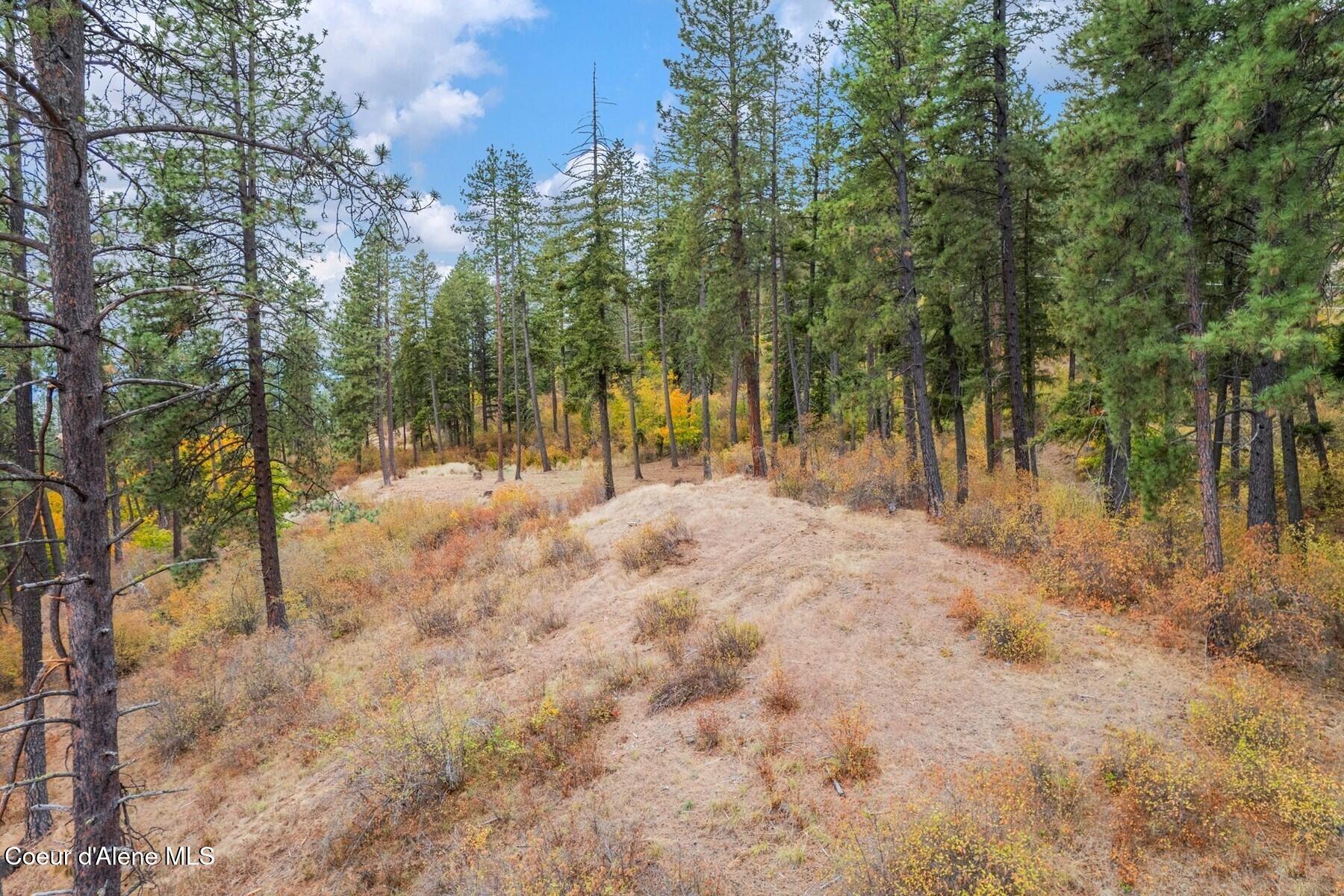 Nna Nna Green Hope, ID 83836 - Photo 11 of 26 11