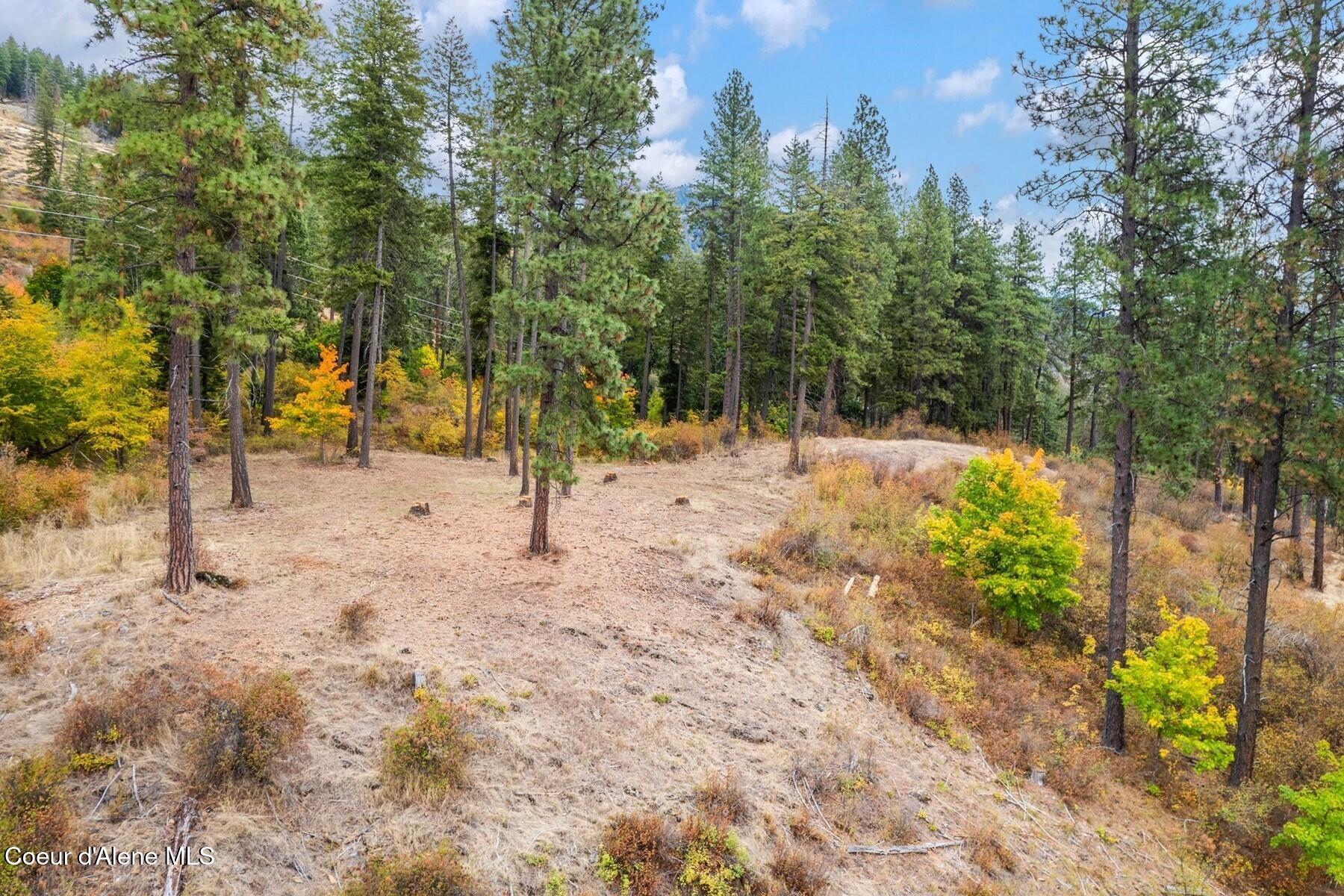 Nna Nna Green Hope, ID 83836 - Photo 5 of 26 05