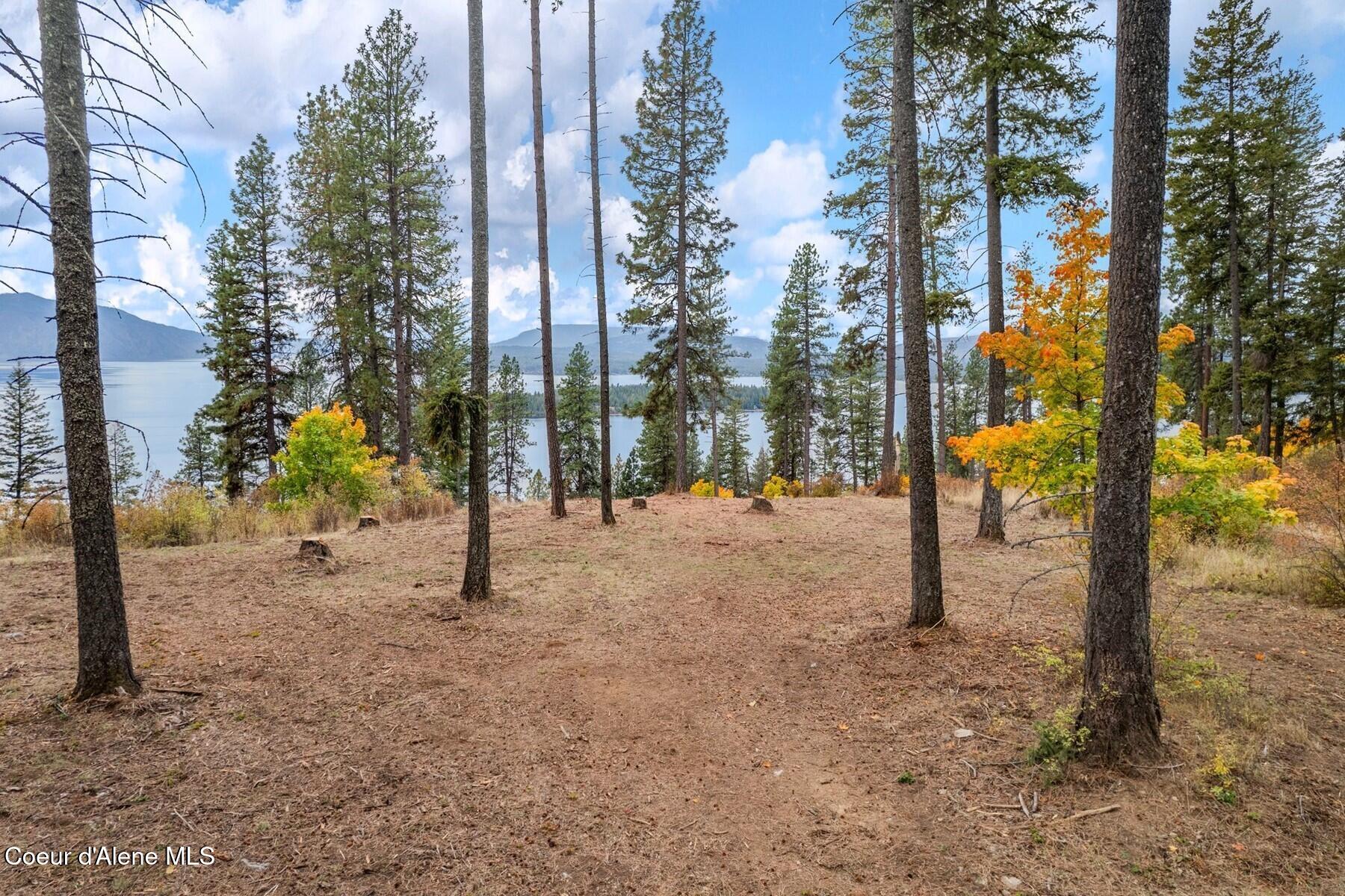 Nna Nna Green Hope, ID 83836 - Photo 7 of 26 07