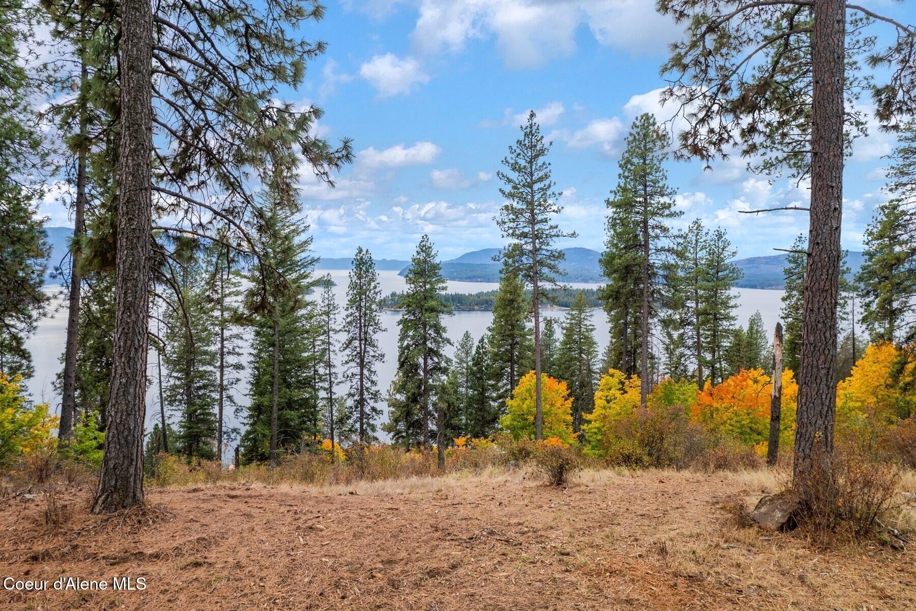 Nna Nna Green Hope, ID 83836 - Photo 8 of 26 08