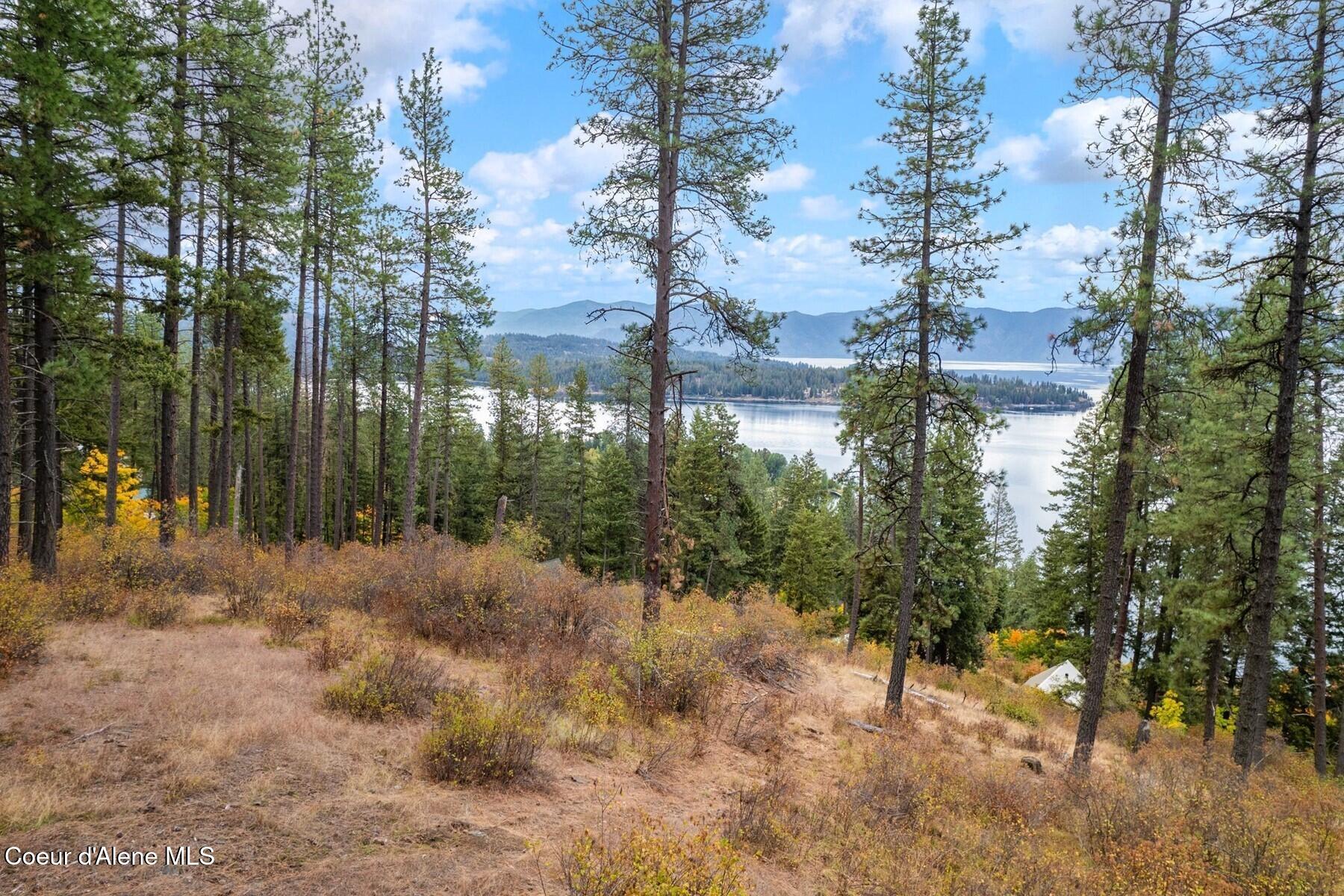 Nna Nna Green Hope, ID 83836 - Photo 9 of 26 09