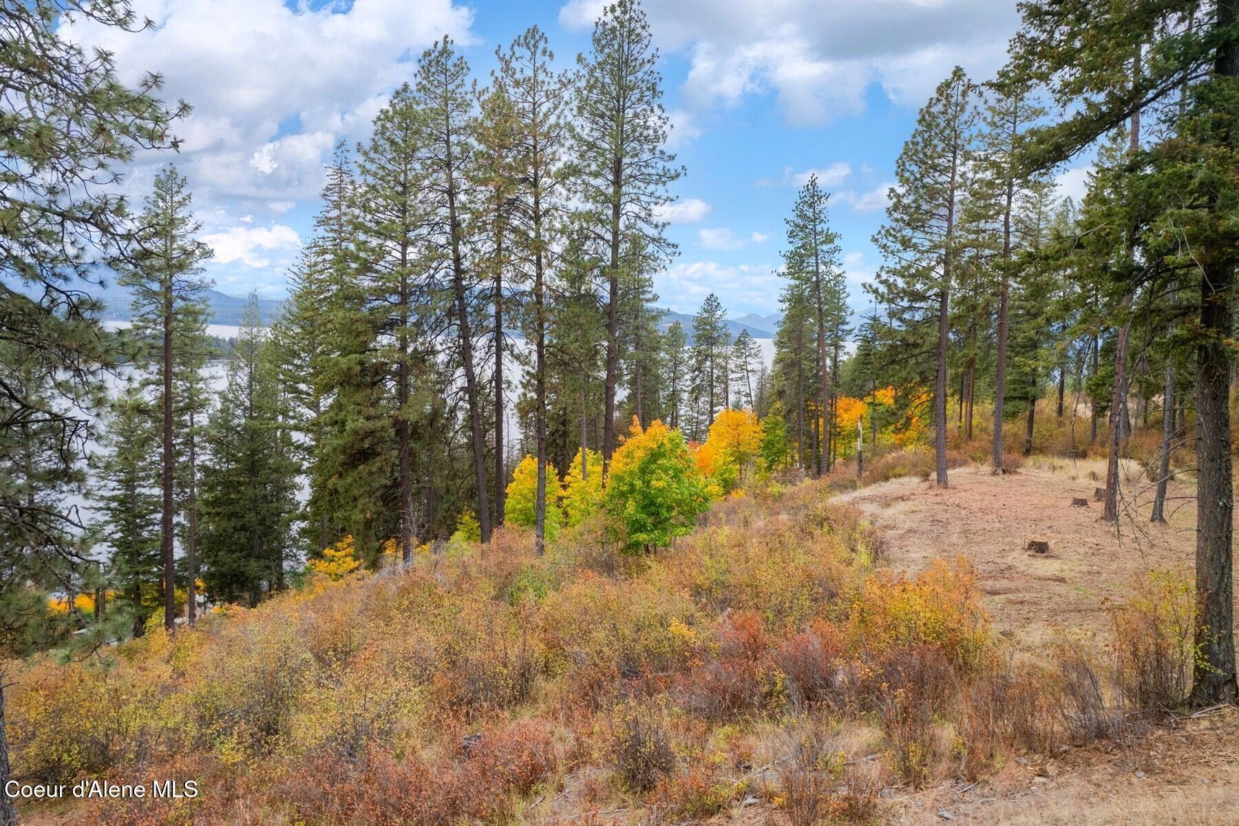 Nna Nna Green Hope, ID 83836 - Photo 10 of 26 10