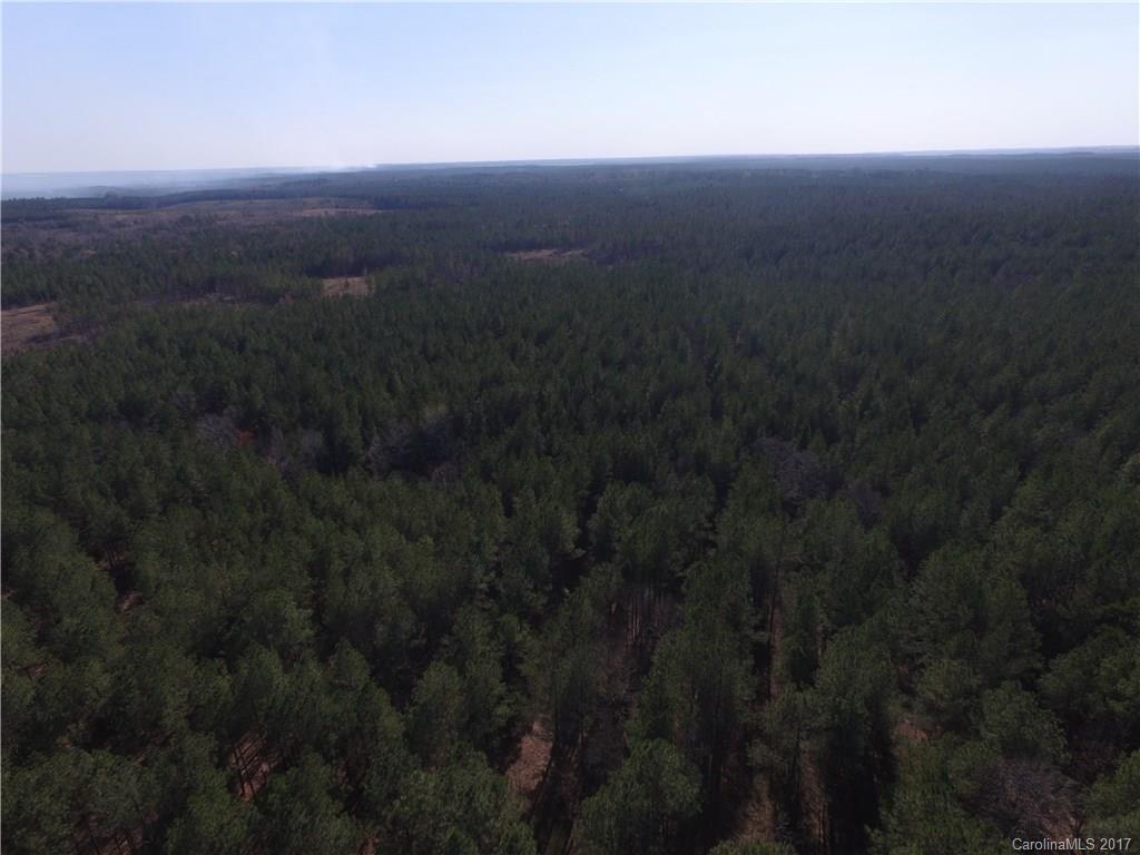 0 Jackson Road Peachland, NC 28133 - Photo 3 of 7