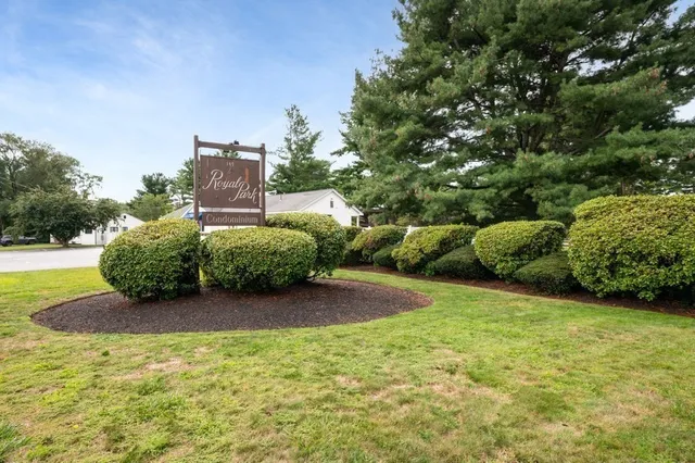 a view of a large yard with plants and large trees