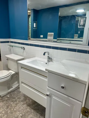a bathroom with a sink and a toilet