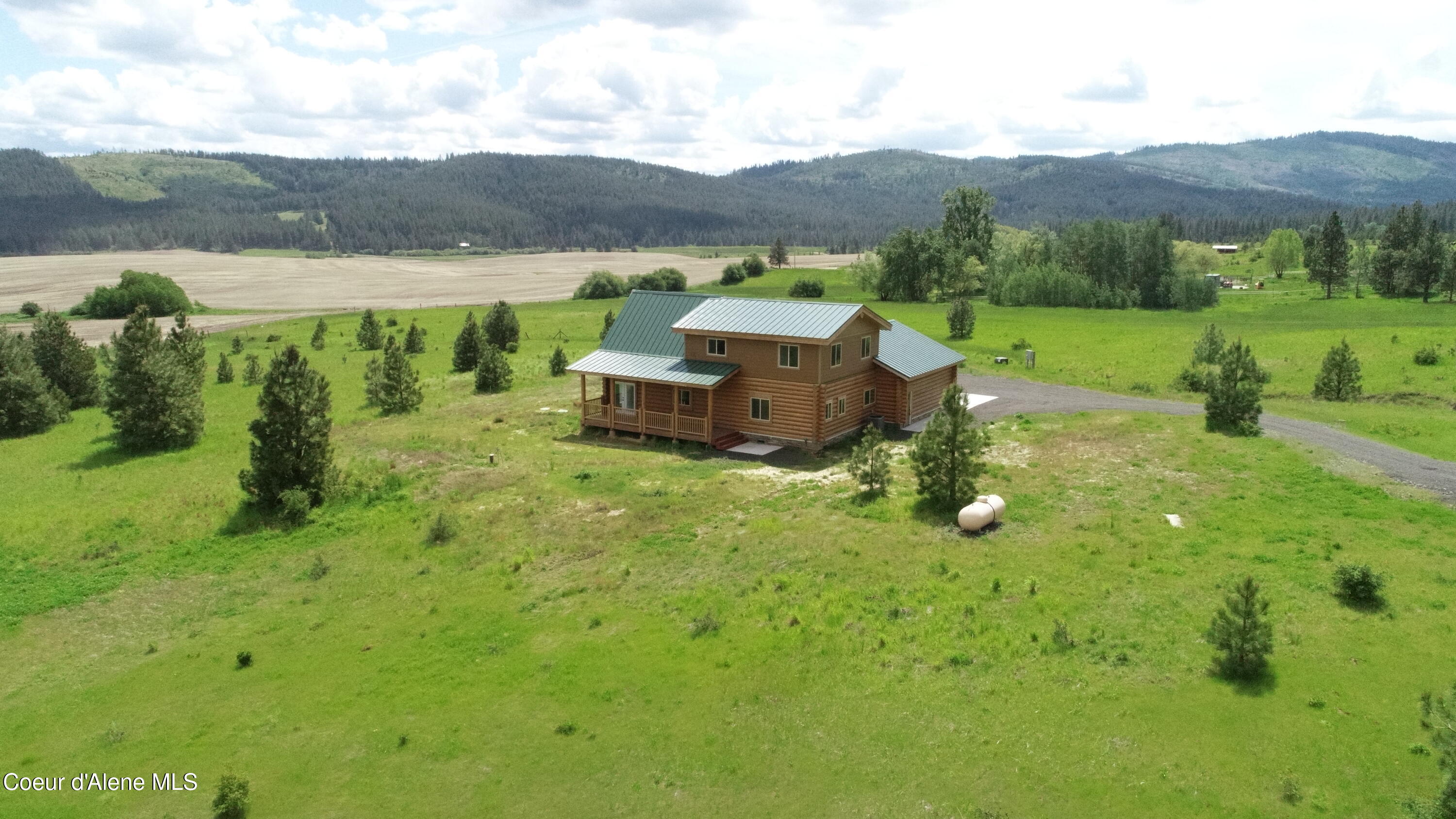 293 Vine Maple Desmet, ID 83824 - Photo 8 of 29 8