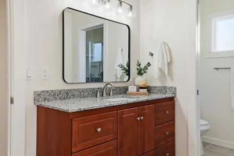 a view of a yard with plants and large tree