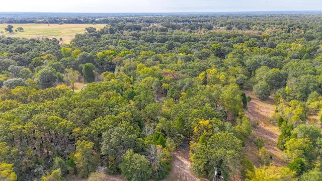 an aerial view of residential houses with outdoor space and trees