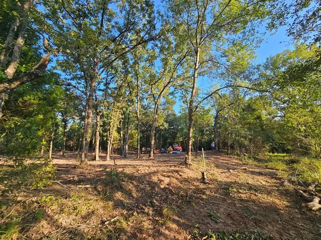 a view of a road with a tree