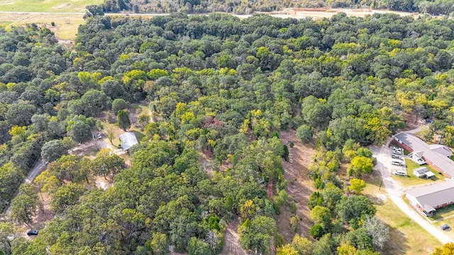 a view of a lot of trees and flowers
