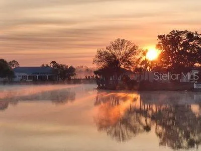a view of a house with a yard and palm trees