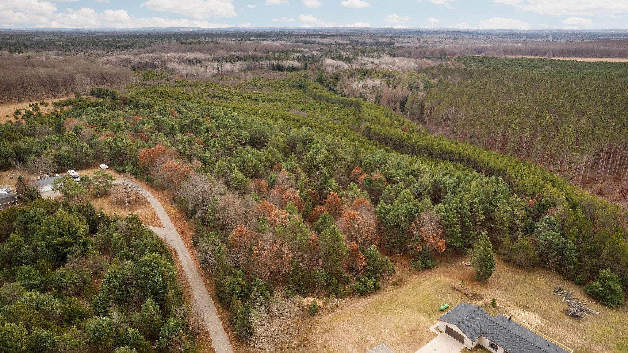 0 Dell Road Kingsley, MI 49649 - Photo 4 of 5