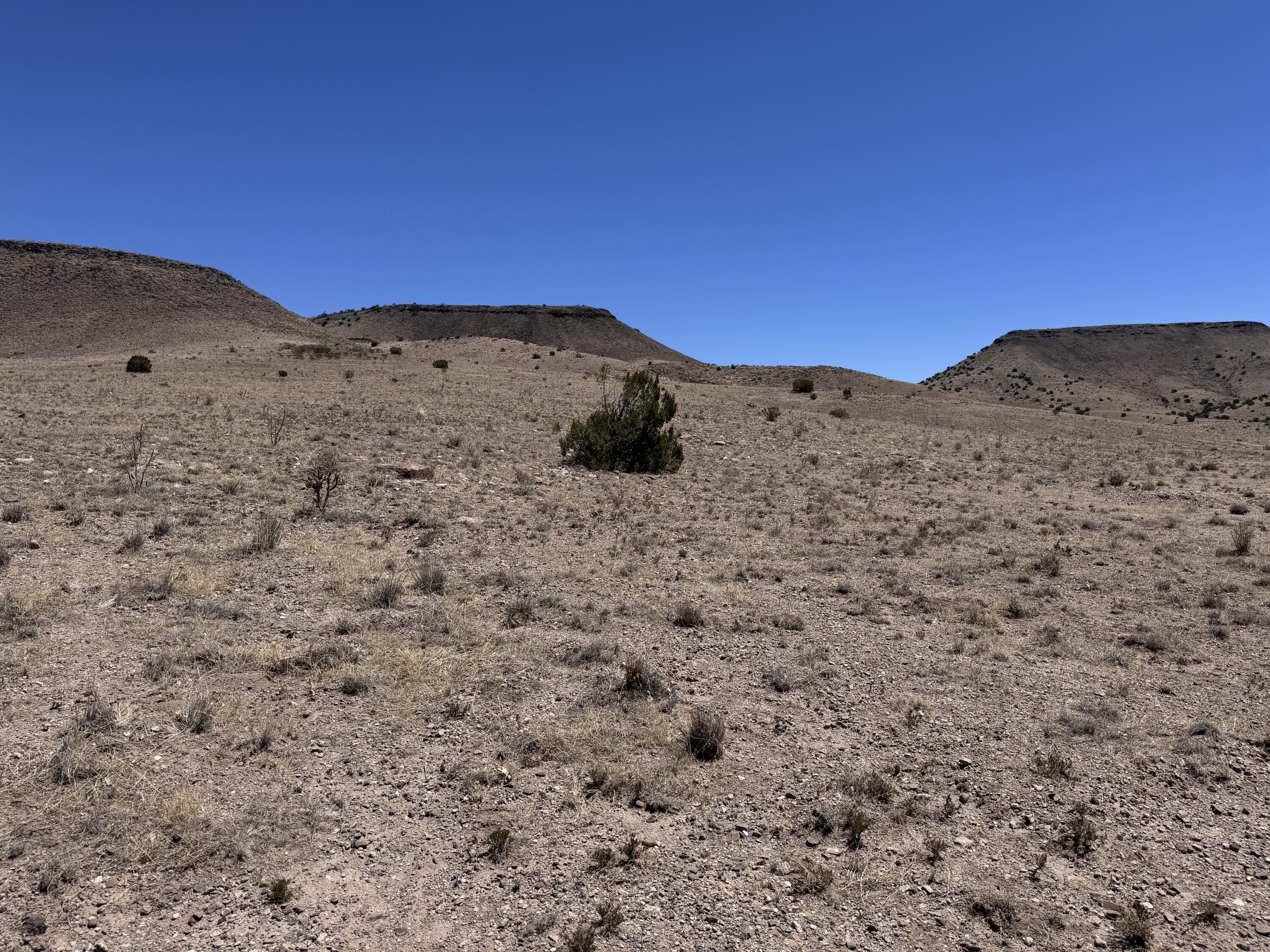 663 Willow Springs Ranch Road Socorro, NM 87801 - Photo 21 of 26 Gallery Image 21