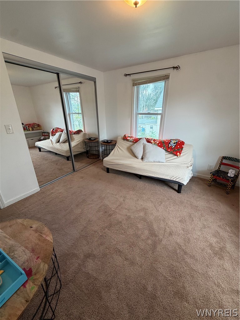 119 Worthy Avenue Ridgeway, NY 14103 - Photo 18 of 26 Gallery Image 18