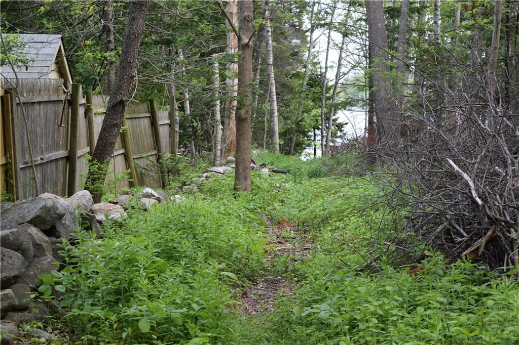1555 Harpswell Neck Road Harpswell, ME 04079 - Photo 6 of 11 Path to water access.