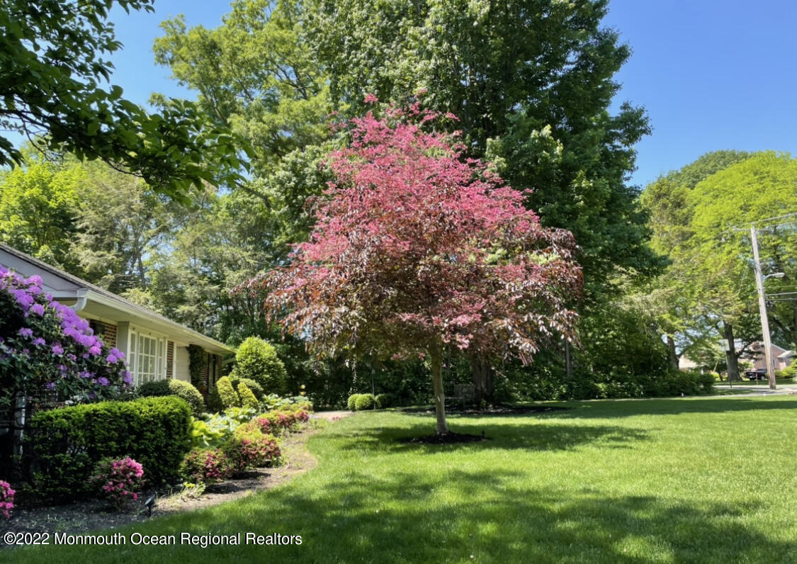 56 Dutch Lane Road Freehold, NJ 07728 - Photo 66 of 90 IMG_5709