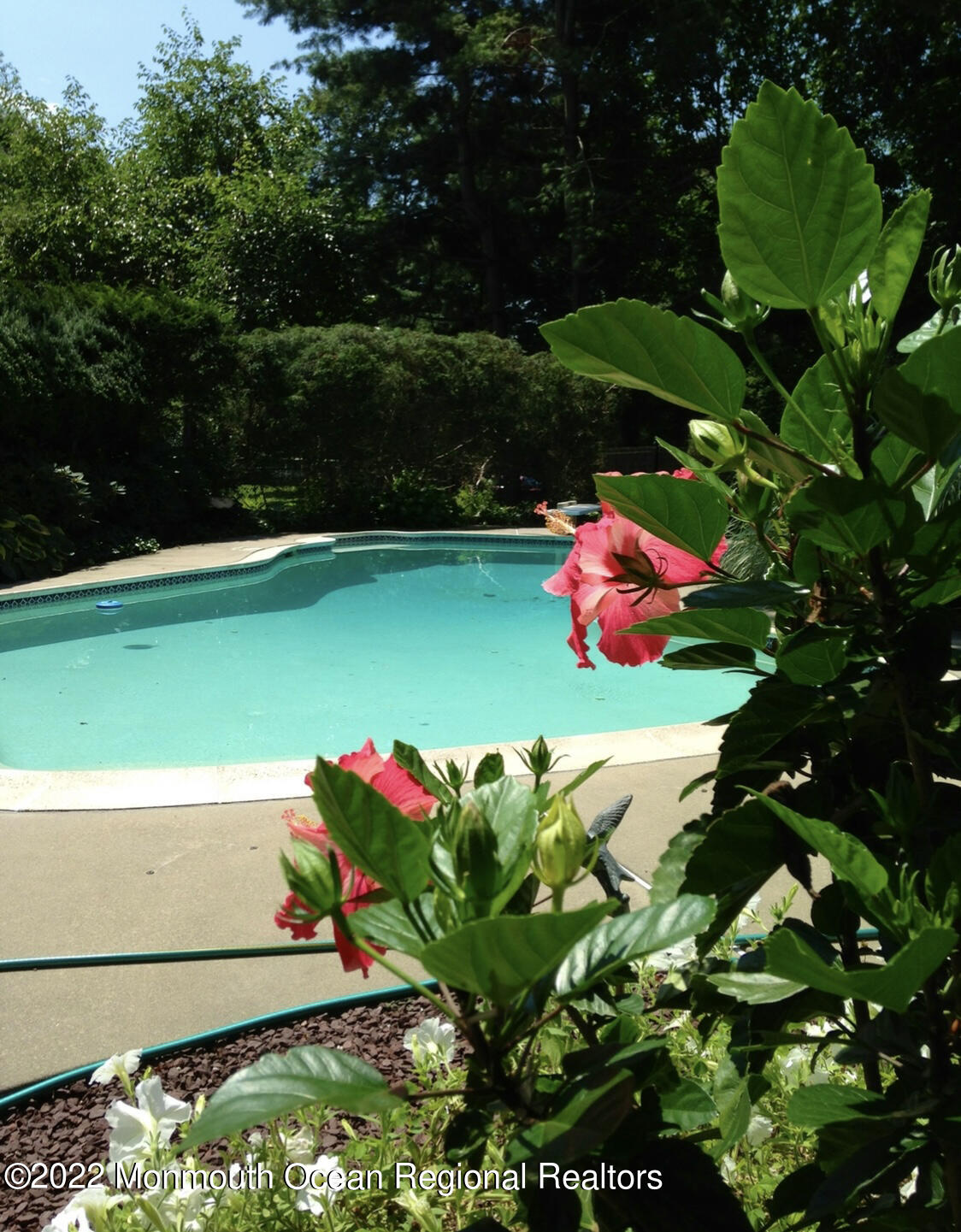 56 Dutch Lane Road Freehold, NJ 07728 - Photo 71 of 90 IMG_5718 (002)