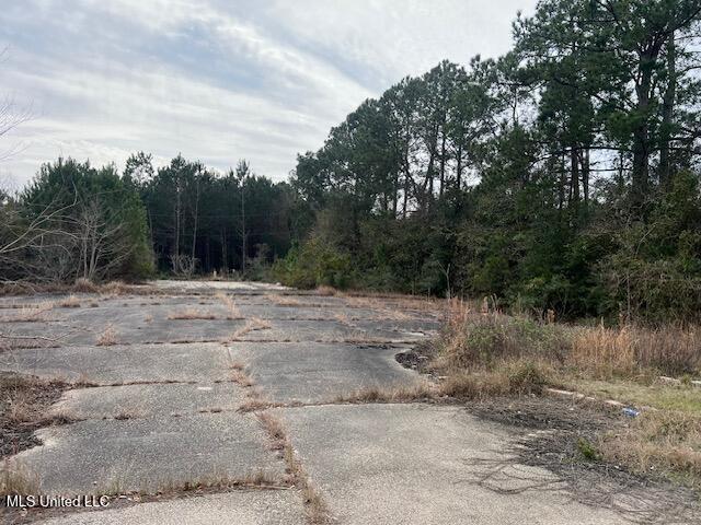 6271 Lower Bay Road Bay St. Louis, MS 39520 - Photo 2 of 5 IMG_3286