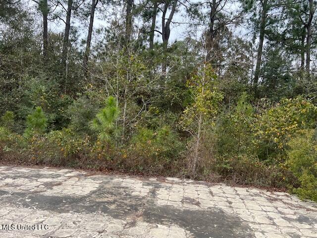 6271 Lower Bay Road Bay St. Louis, MS 39520 - Photo 3 of 5 IMG_3287