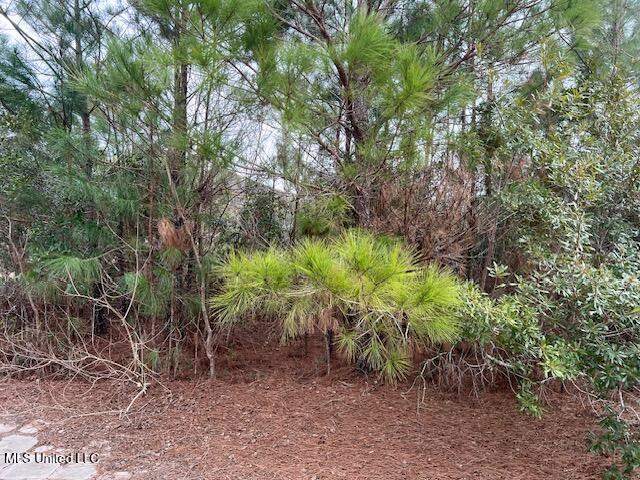 6271 Lower Bay Road Bay St. Louis, MS 39520 - Photo 4 of 5 IMG_3288