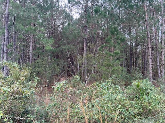 6271 Lower Bay Road Bay St. Louis, MS 39520 - Photo 5 of 5 IMG_3289