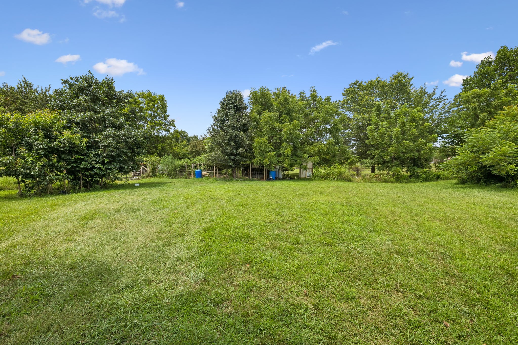3384 Maxie Jones Road Springfield, TN 37172 - Photo 48 of 66
