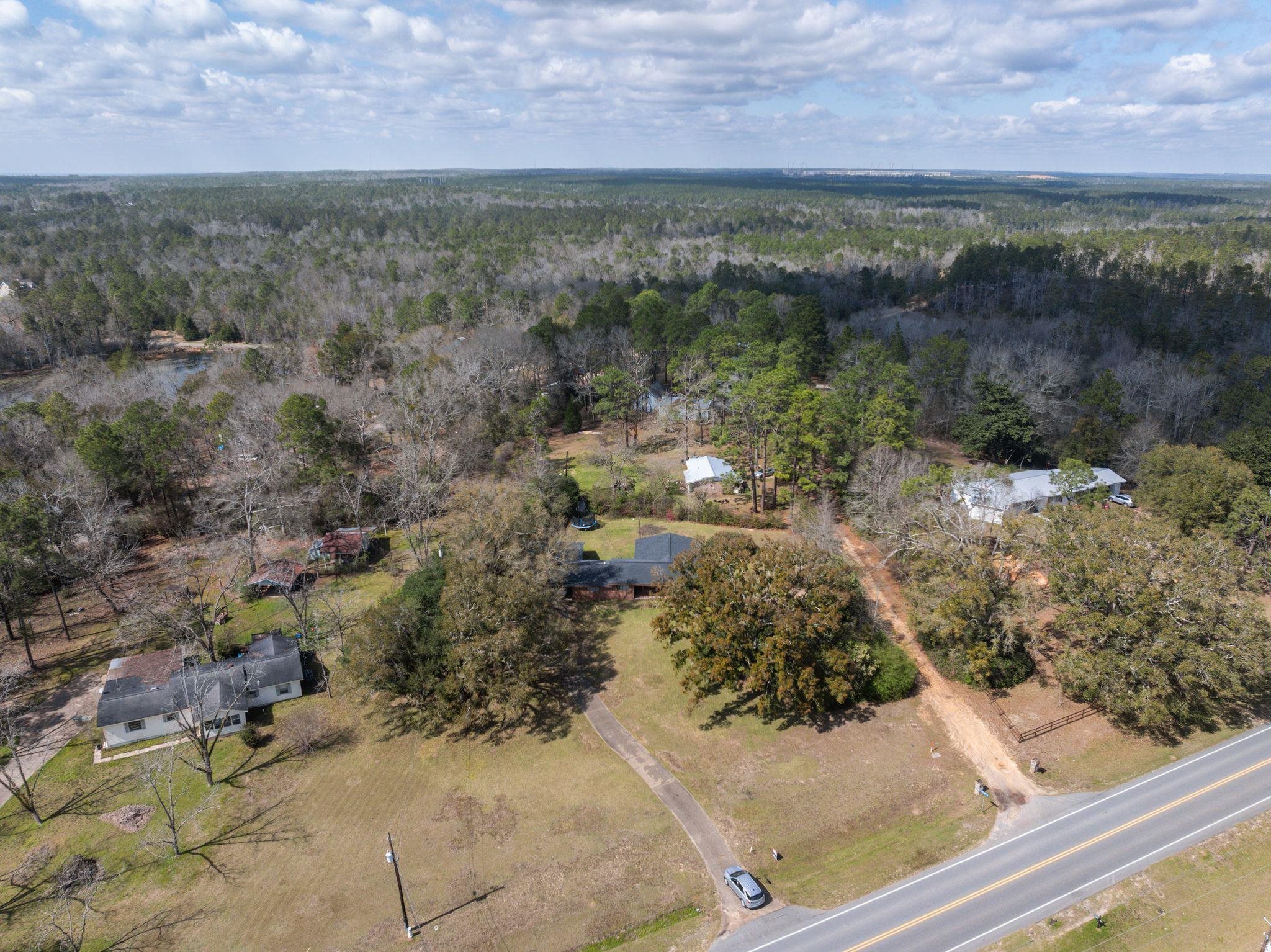 46091 Highway 31 Bay Minette, AL 36507 - Photo 34 of 35 Aerial View