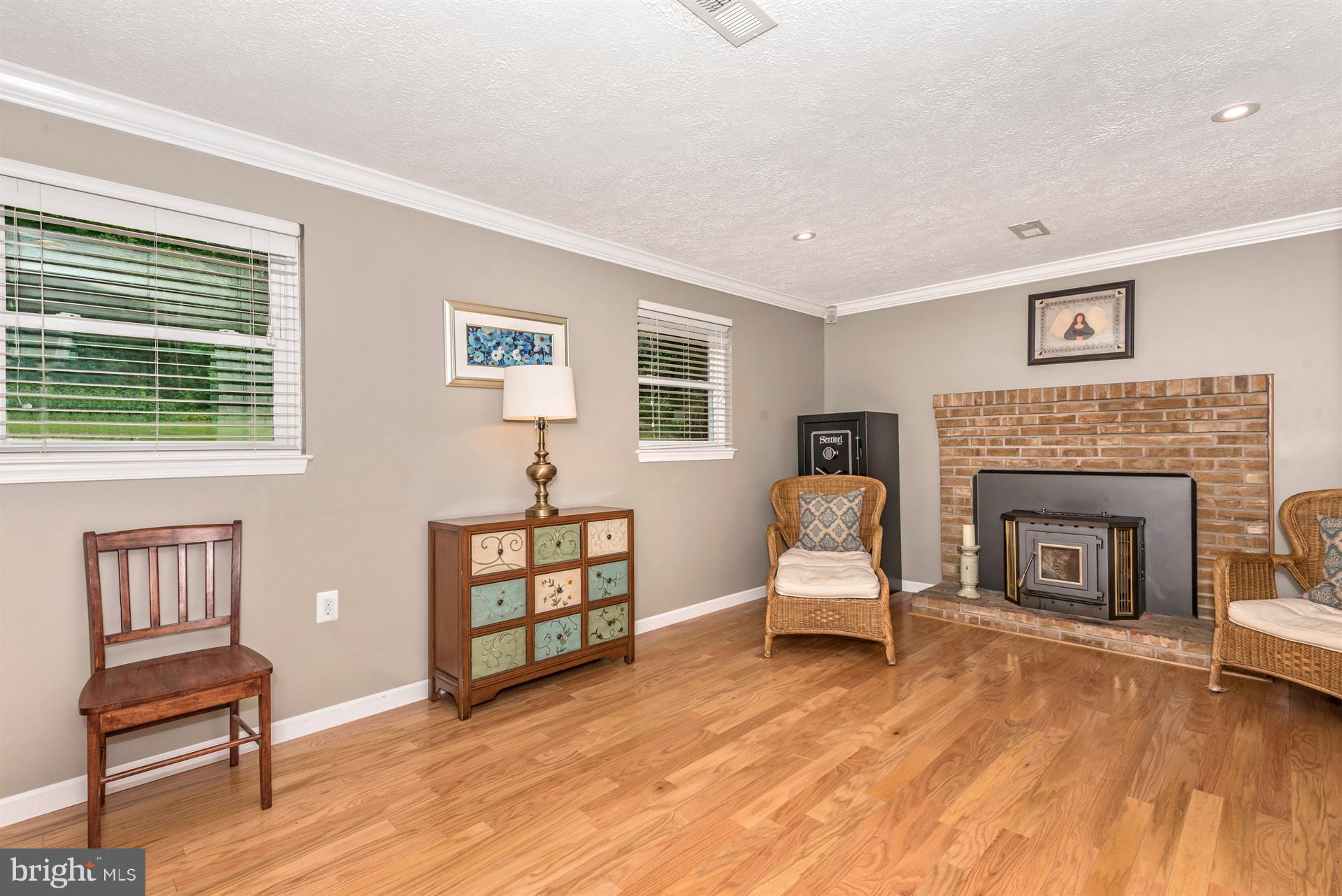 9022 Chestnut Grove Road Frederick, MD 21701 - Photo 24 of 30 Lower Level Living Room