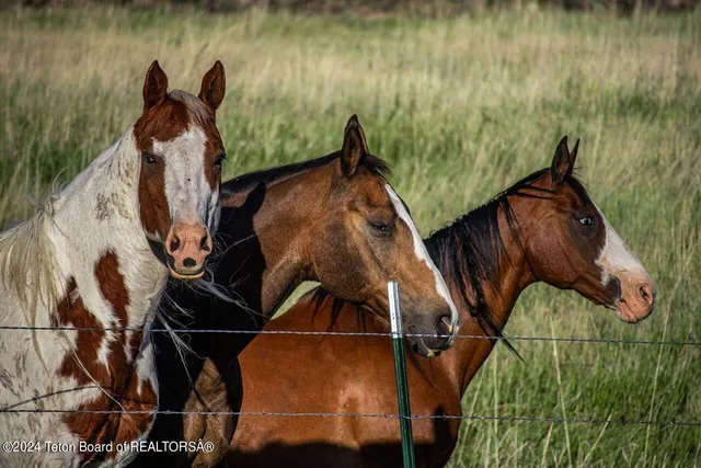 $3,950,000 | 4837 Highway 30, Cokeville, WY 83114