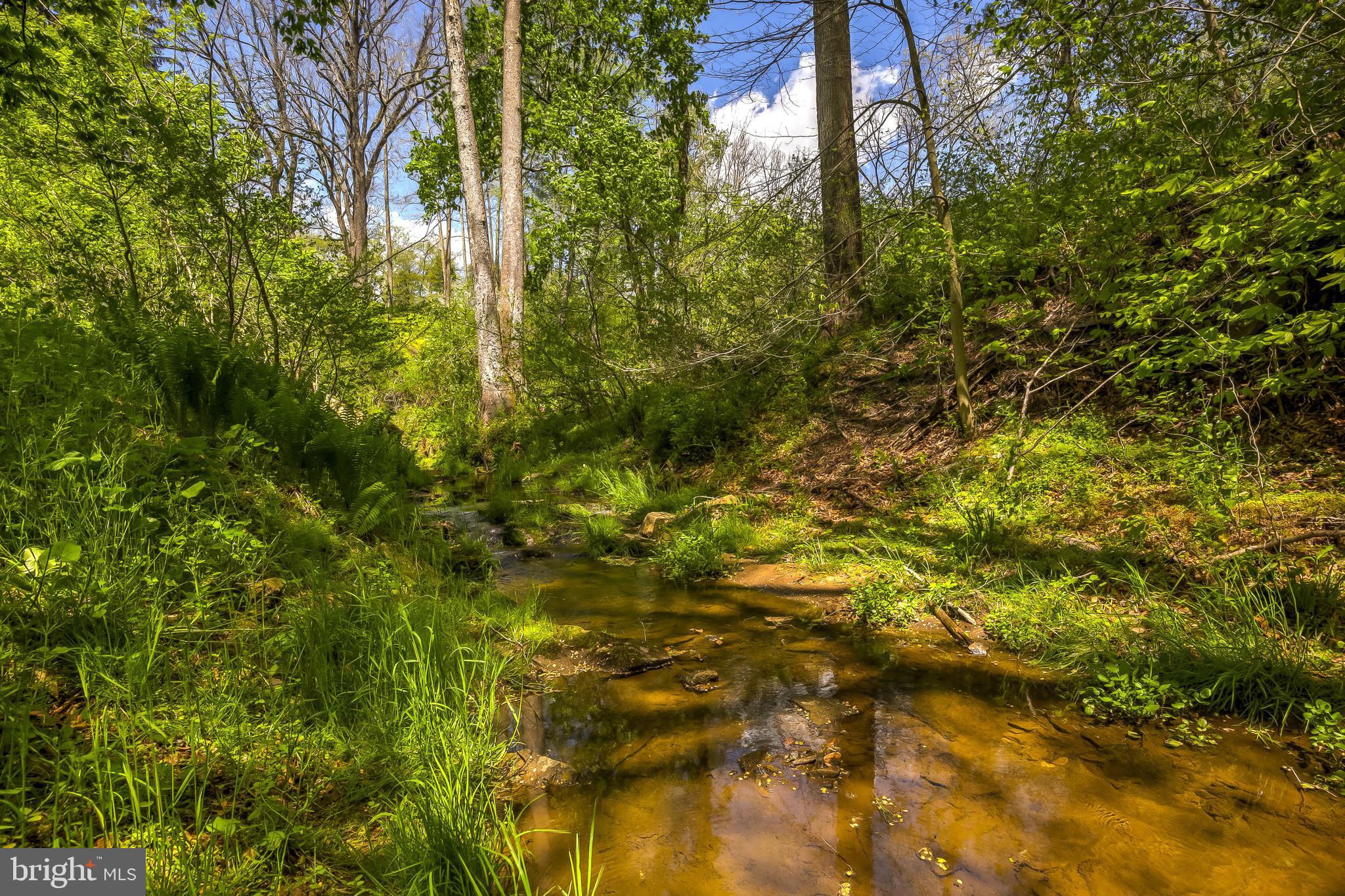 14626 Thornton Mill Road Sparks, MD 21152 - Photo 102 of 119