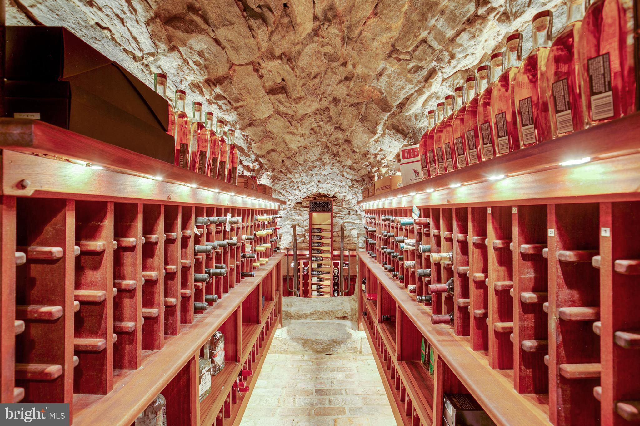 14626 Thornton Mill Road Sparks, MD 21152 - Photo 44 of 119 Lower Level Wine Cellar