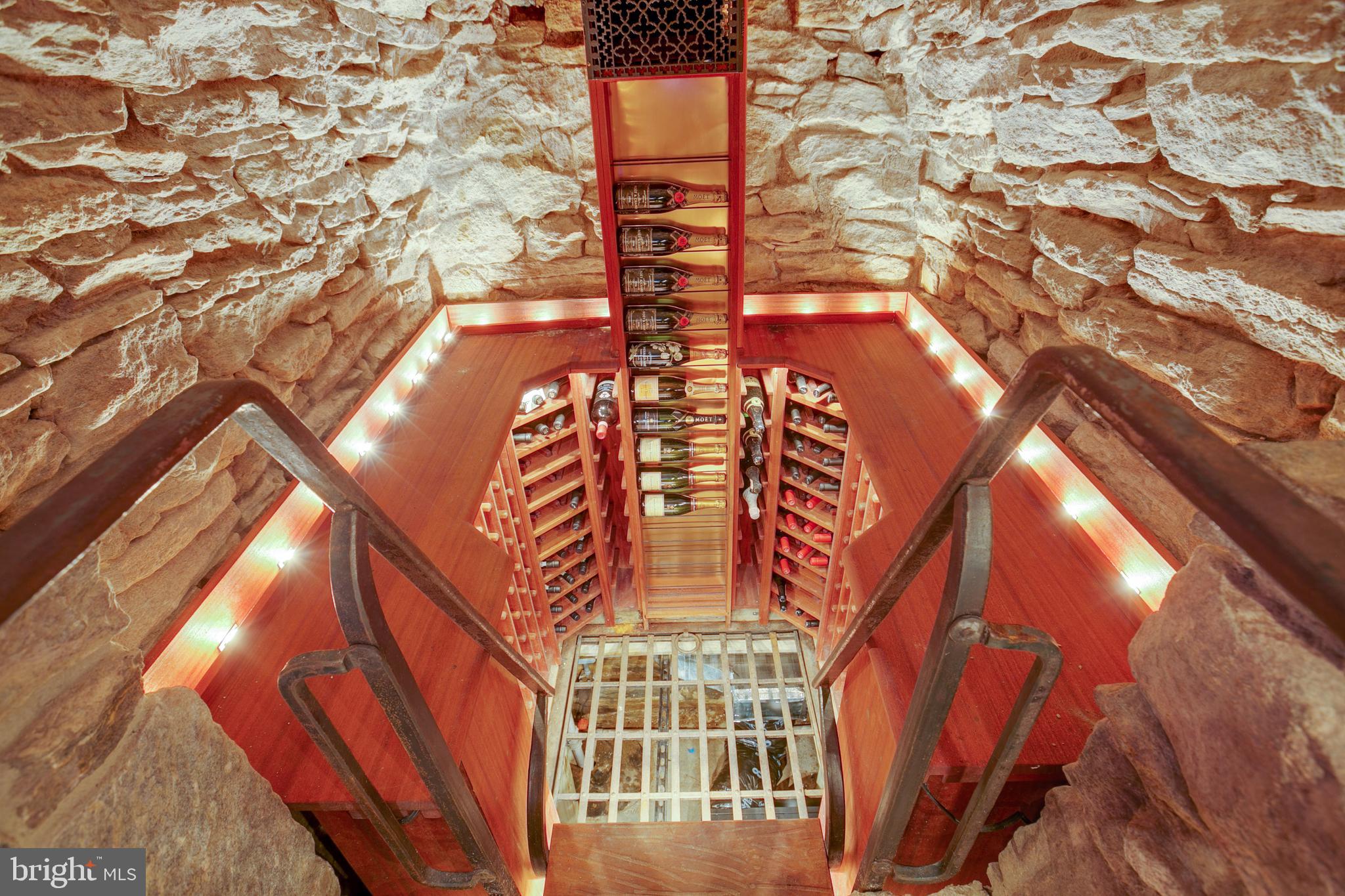 14626 Thornton Mill Road Sparks, MD 21152 - Photo 45 of 119 Lower Level Wine Cellar