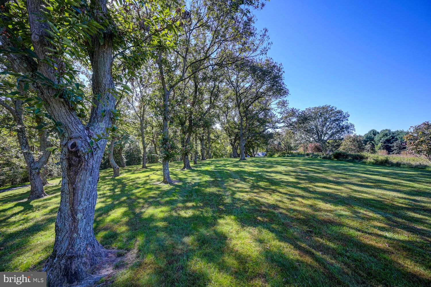 14626 Thornton Mill Road Sparks, MD 21152 - Photo 79 of 119