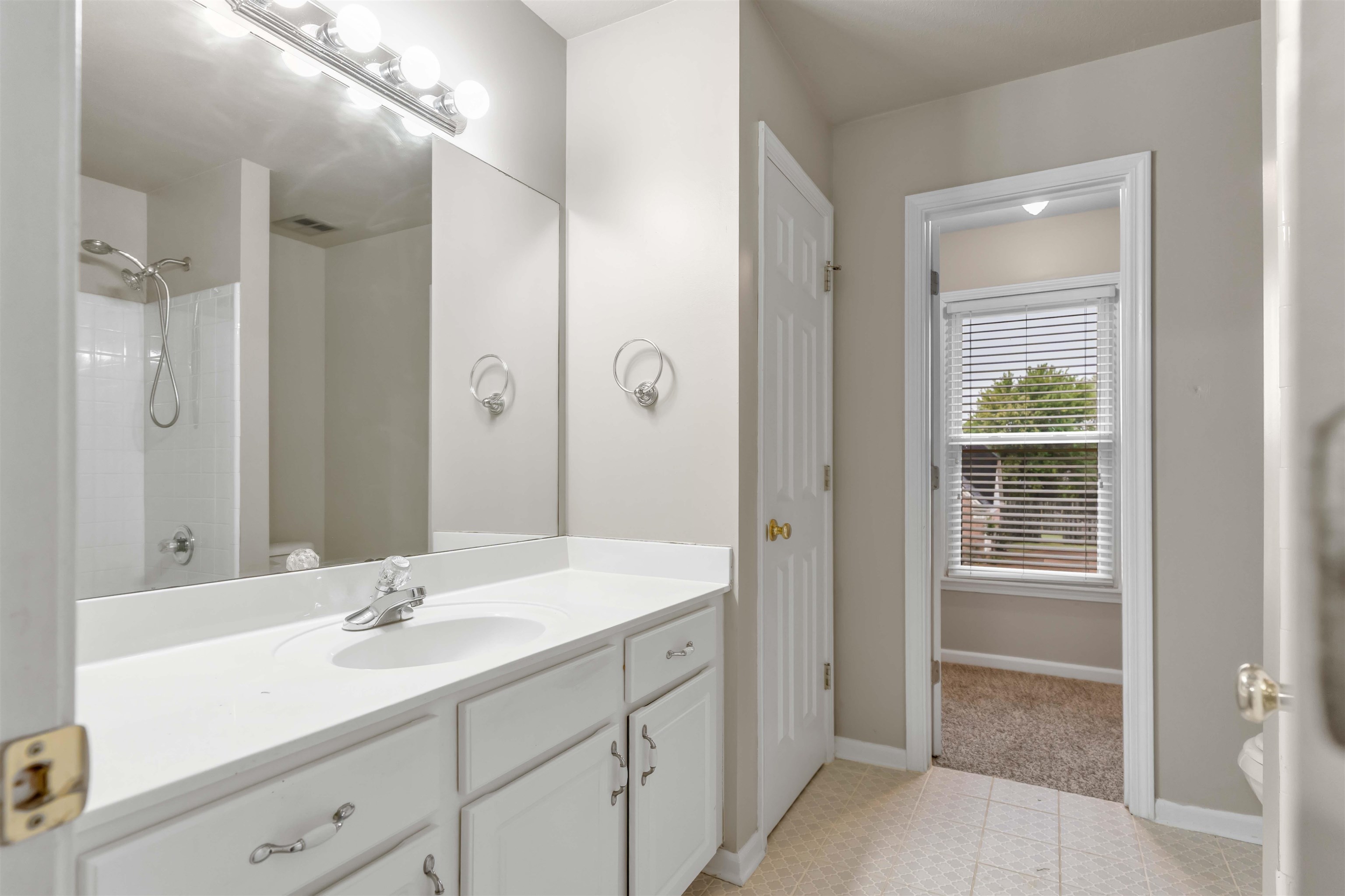 1335 Riding Brook Drive Collierville, TN 38017 - Photo 20 of 32 a bathroom with a sink double vanity and a mirror