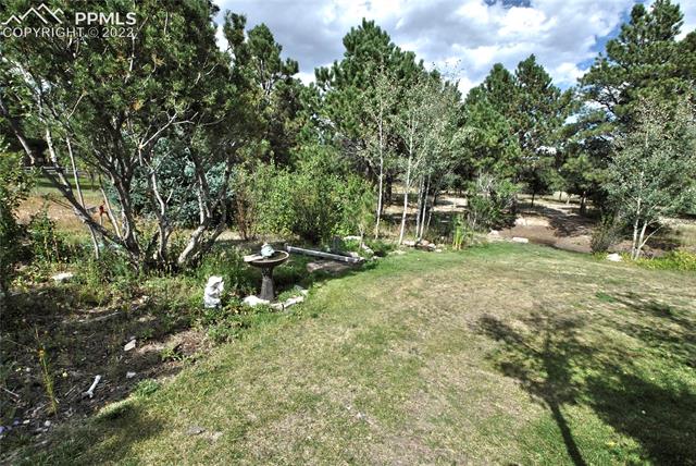 13240 Murphy Road Elbert, CO 80106 - Photo 4 of 24 Gallery Image 4