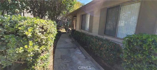 a view of a pathway with flower plants