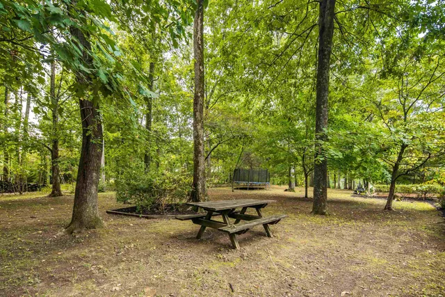 a view of a park with bench and trees