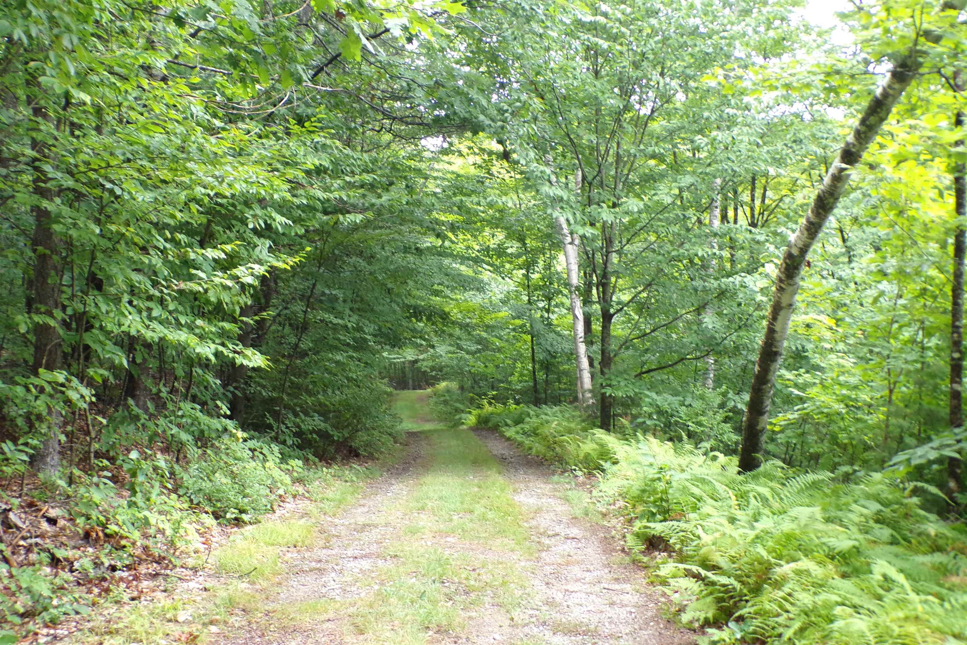 80 Old Profile Road Marlow, NH 03456 - Photo 37 of 42 Gallery Image 37