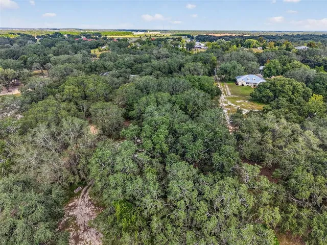 a view of a green field with lots of bushes