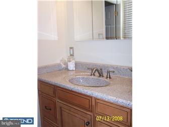 505 Warren Road West Chester, PA 19382 - Photo 4 of 10 Bathroom