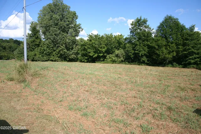 a view of a field with an trees