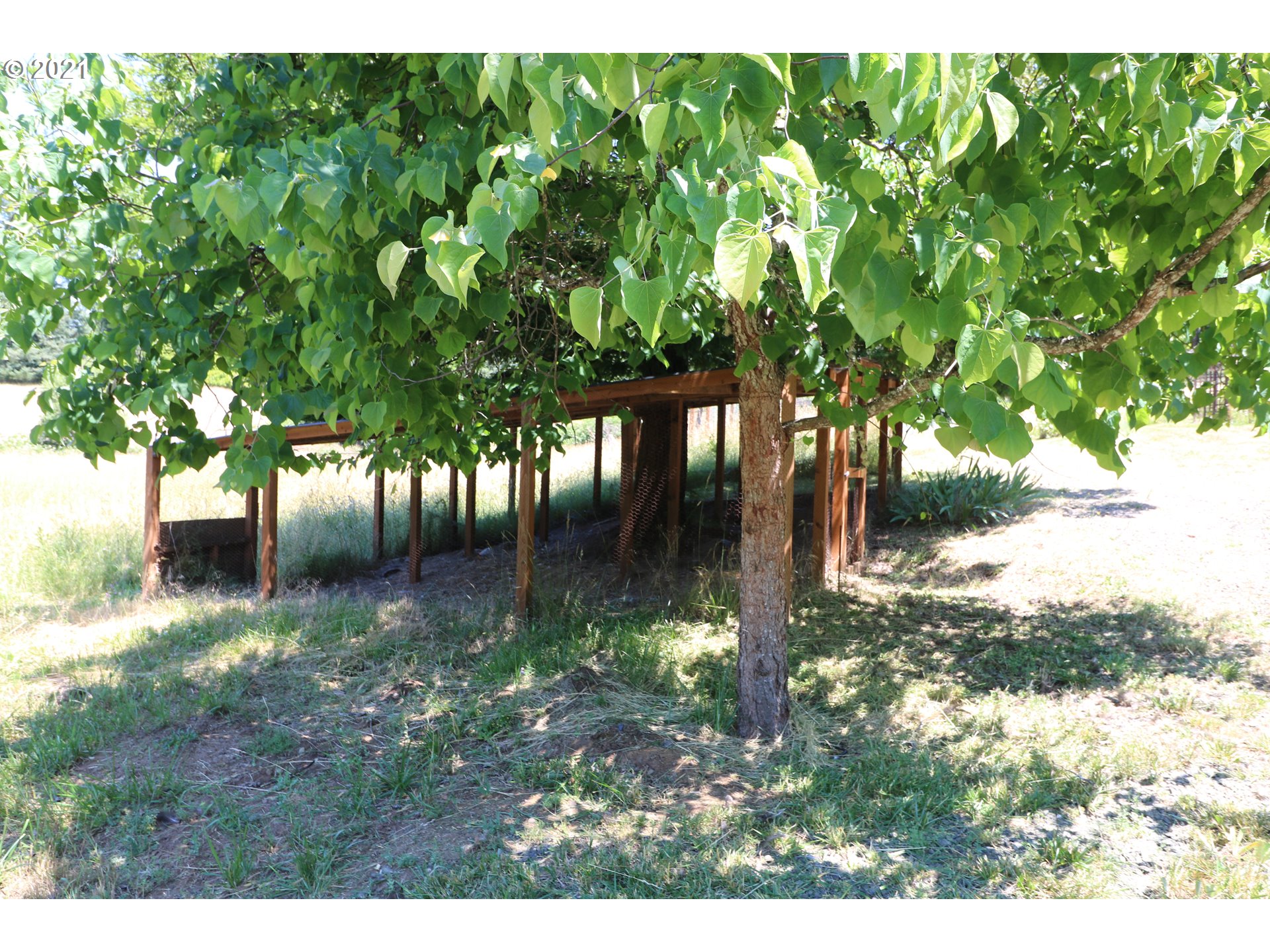 84693 Sarvis Berry Lane Eugene, OR 97405 - Photo 10 of 30