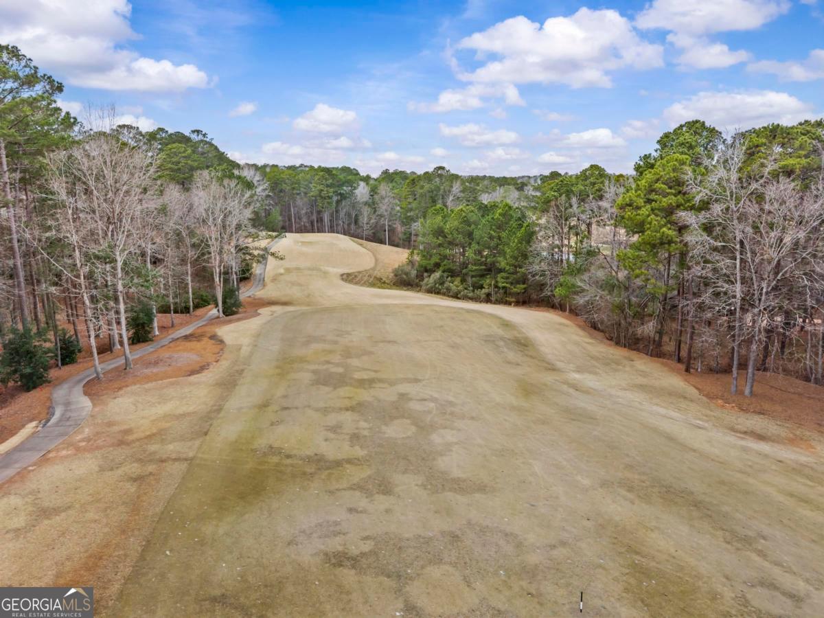 1101 Lockets Trail Greensboro, GA 30642 - Photo 60 of 74
