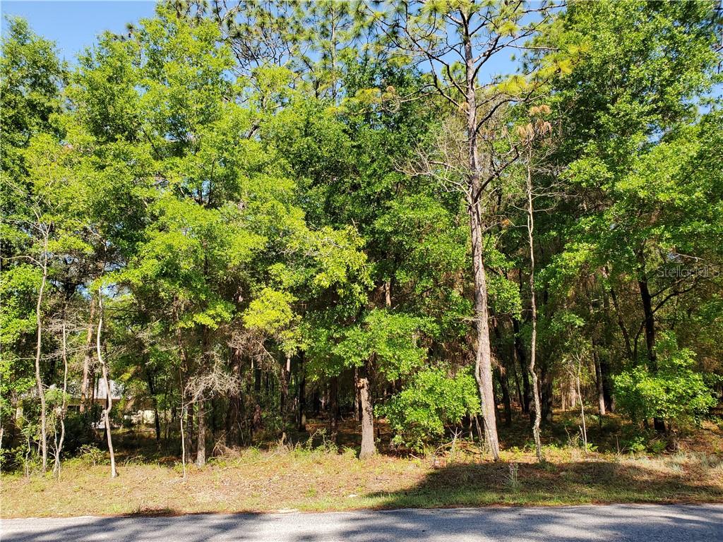 16 Southwest 73rd Loop Dunnellon, FL 34432 - Photo 1 of 1 Gallery Image 1