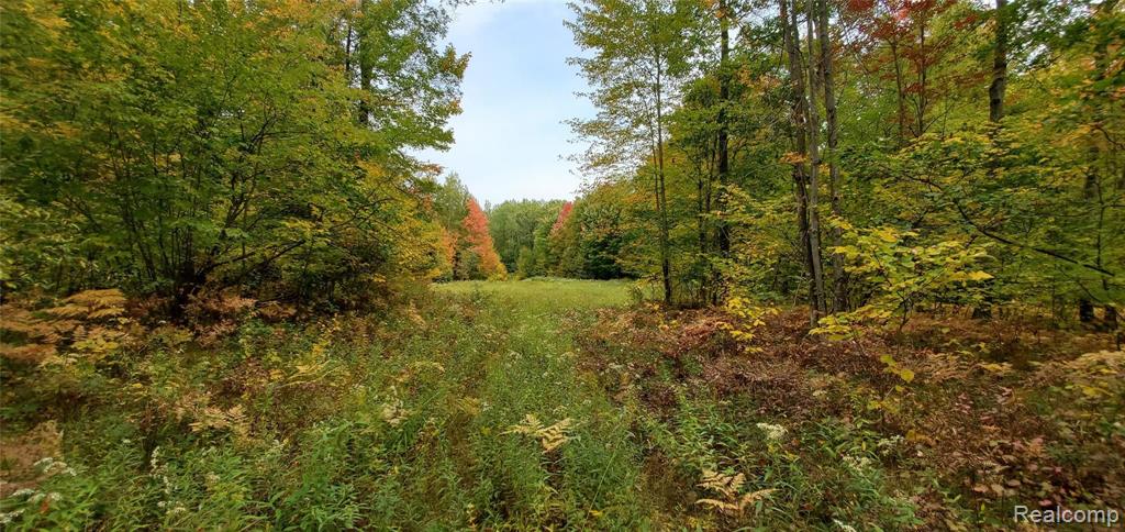 0 East Mannsiding Road Harrison, MI 48625 - Photo 1 of 9