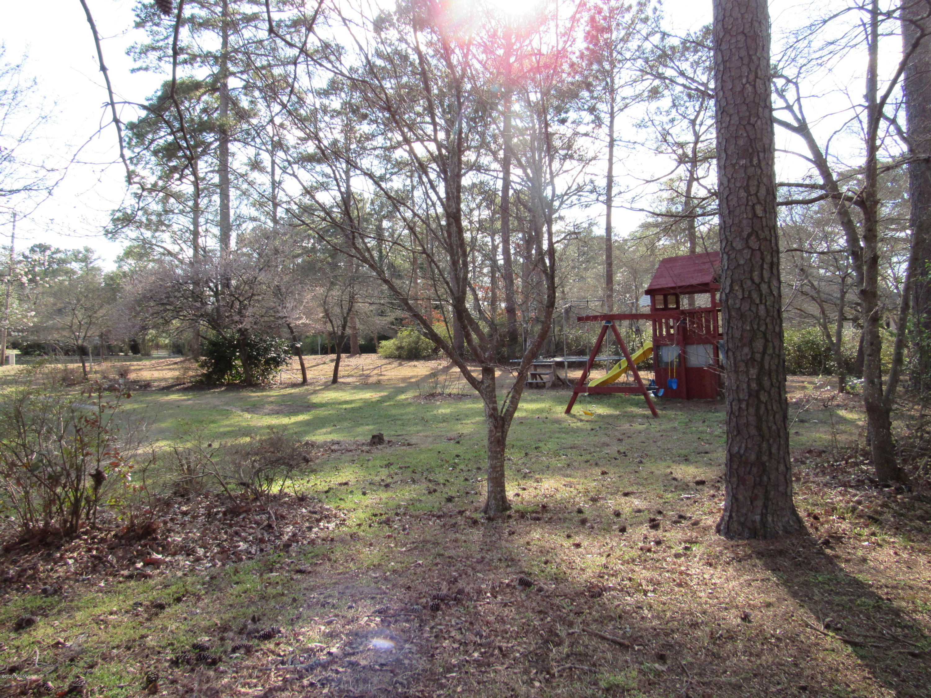 6955 River Road Washington, NC 27889 - Photo 7 of 51 005 Side Play Area
