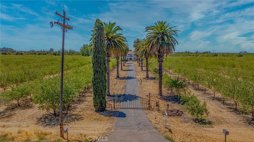 14625 Le Grand Road Le Grand, CA 95333 - Photo 7 of 60 a view of a yard with palm trees